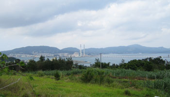家から見える風景