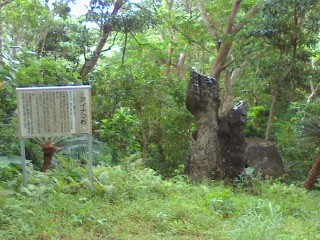 2010年11月:石垣島 マーメイド