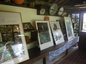あやぱに写真展開催中