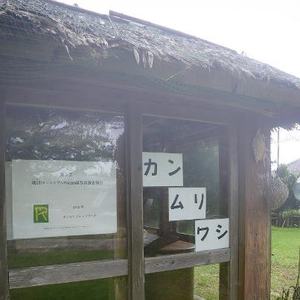あやぱに写真展開催中