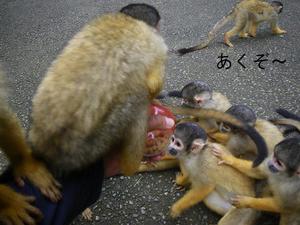 えさやり