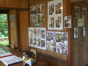 あやぱに写真展