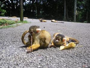 ひなたぼっこ