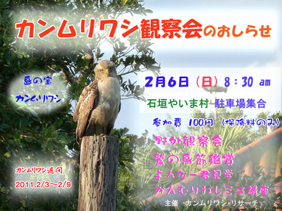 カンムリワシ観察会のお知らせ