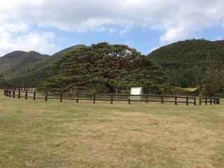 伊平屋島2