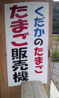 2009年11月28日