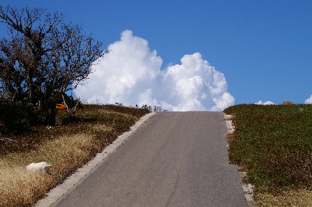 波照間島:道。