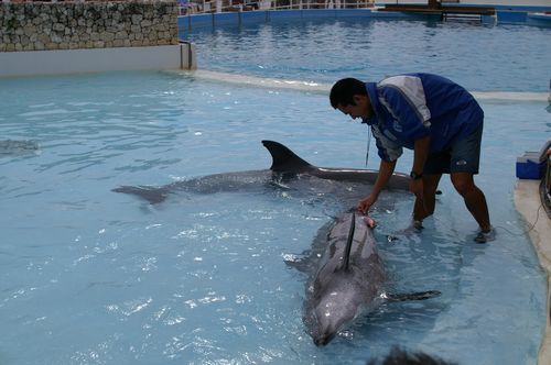 美ら海水族館♪♯2
