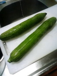 今夜は・・・？ 2008/05/13 20:22:53