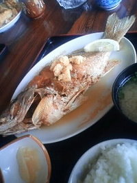 ビタローです！ 2008/05/22 15:42:48