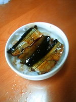 サンマ 2008/06/15 13:36:21