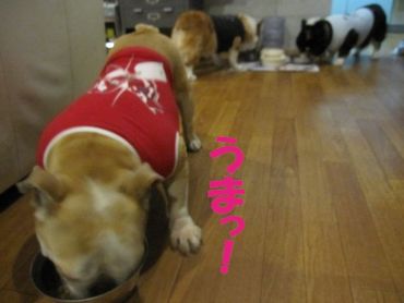 大胆に・・・
