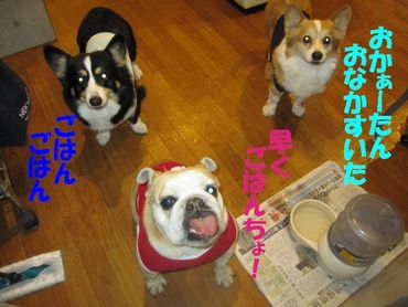 大胆に・・・