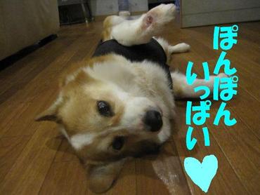 大胆に・・・