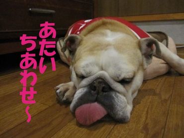 大胆に・・・