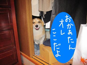 忙しい次郎くん