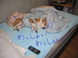 吾郎(息子)が次郎(父)に教えたこと
