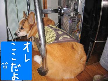 忙しい次郎くん
