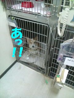 次郎の様子