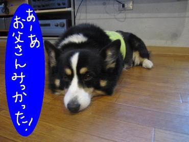 忙しい次郎くん