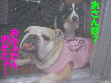 ちよっとだけ安心