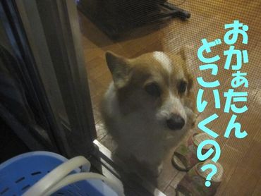 大胆に・・・