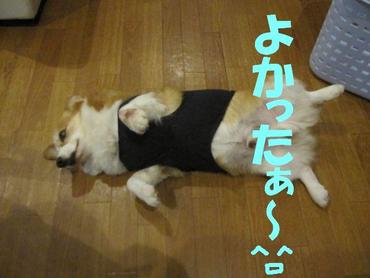 大胆に・・・