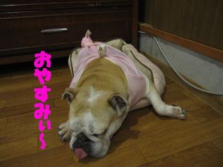 無事を祈って・・・