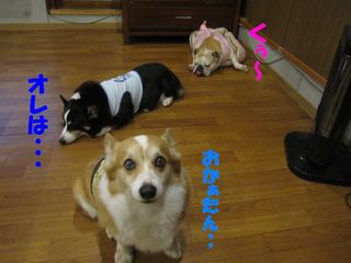 無事を祈って・・・