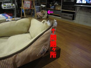 無事を祈って・・・