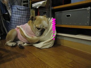 無事を祈って・・・
