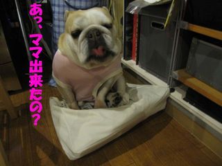無事を祈って・・・