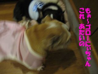 無事を祈って・・・