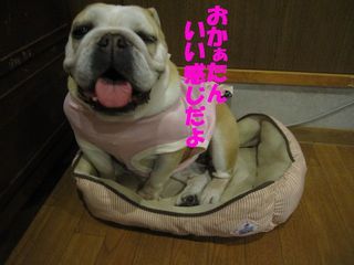 無事を祈って・・・
