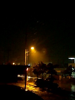 雨ですねー