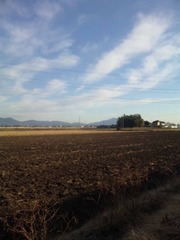 ナマケモノ年賀
