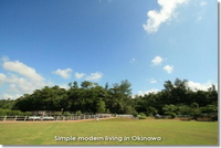ヤンバルにて。。。 2008/08/25 17:12:38