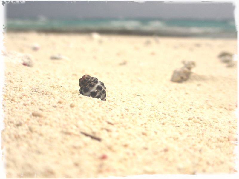 ハテの浜-久米島