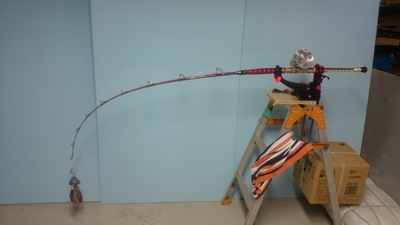 ALTISSIMUS 負荷テスト ALTISSIMUS 負荷テスト