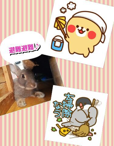 今年の汚れ今年のうちに♪ 今年の汚れ今年のうちに♪