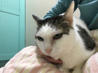 シャンくんとぬくぬく シャンくんとぬくぬく
