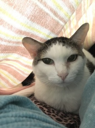 シャンくんとぬくぬく シャンくんとぬくぬく