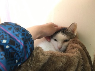 シャンくん 頭脳派!? シャンくん 頭脳派!?