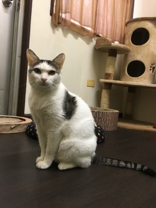 シャンくんでございます☆ シャンくんでございます☆