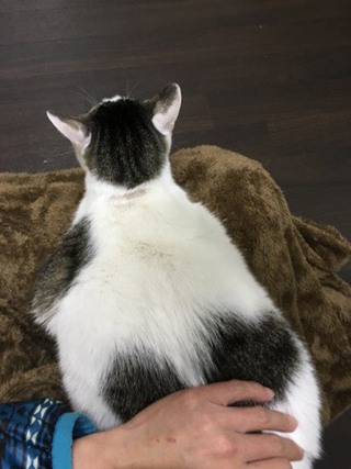 シャンくん 今年のお泊り最終日 シャンくん 今年のお泊り最終日