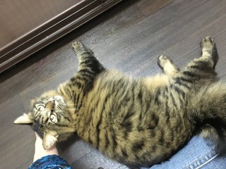 ザイオンくん&リリーちゃん お泊り最終日 ザイオンくん&リリーちゃん お泊り最終日