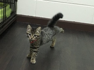 Zionくん Lilyちゃん 今日からお泊り Zionくん Lilyちゃん 今日からお泊り