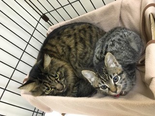 本日のザイオンくん&リリーちゃん 本日のザイオンくん&リリーちゃん