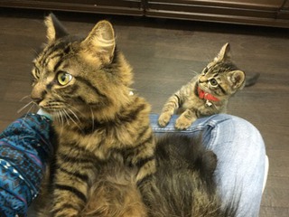 本日のザイオンくん&リリーちゃん 本日のザイオンくん&リリーちゃん