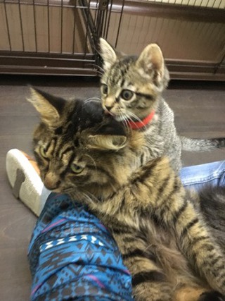 本日のザイオンくん&リリーちゃん 本日のザイオンくん&リリーちゃん